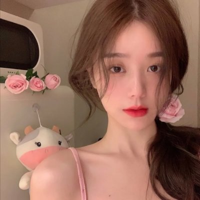 龙鱼追鲨令