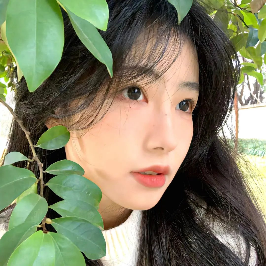 无声国度